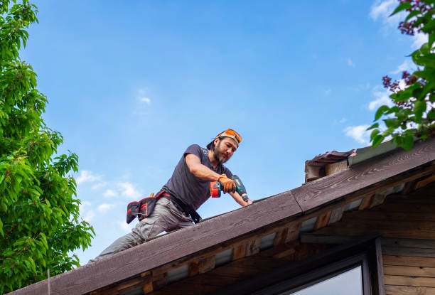 Best Solar Panel Roofing Installation  in Laurens, IA